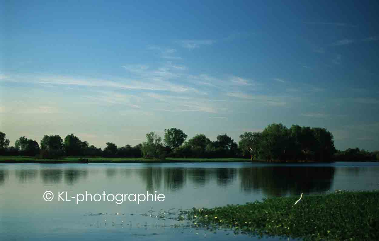 yellow waters
