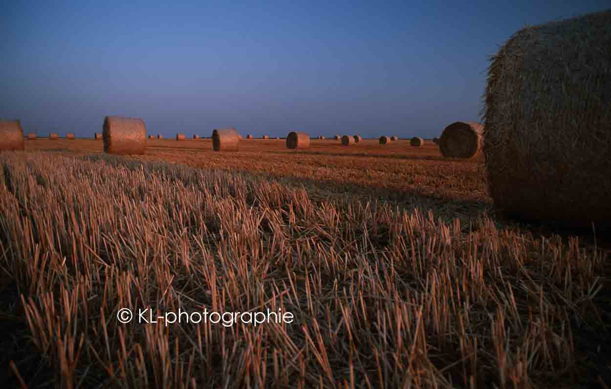 feld bei wiesbaden
