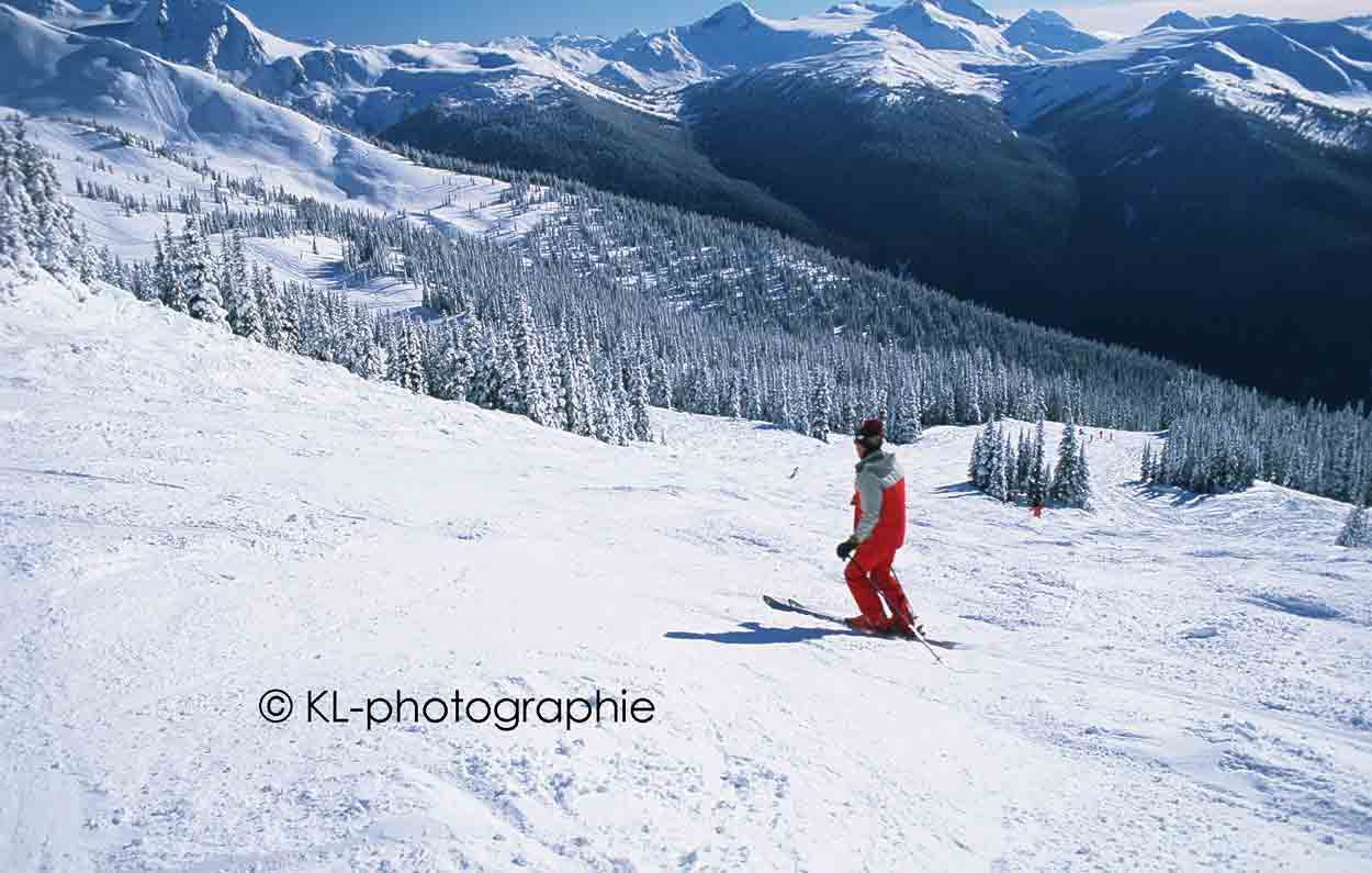 whistler