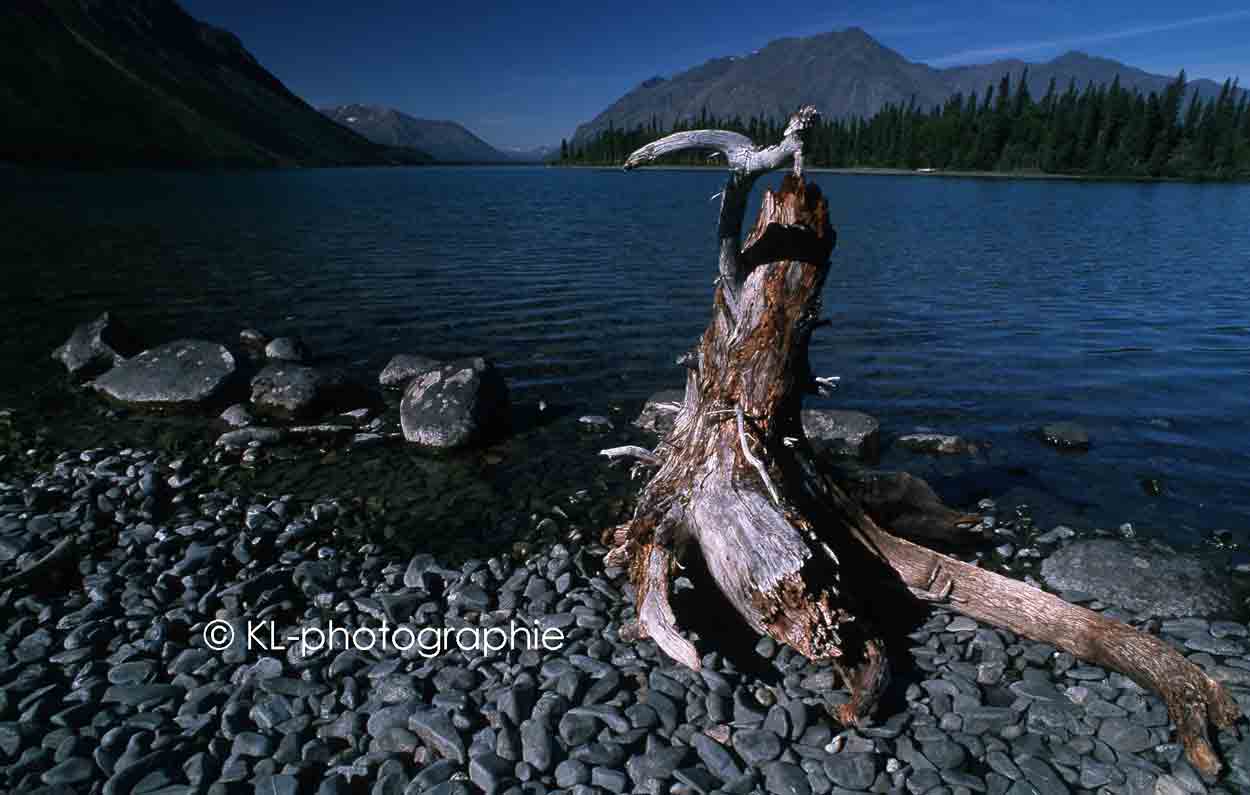 kluane national park