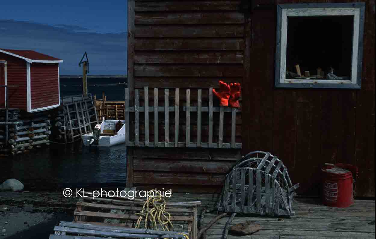 laddle cove