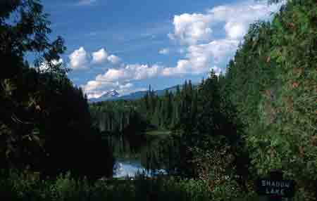 shadow lake