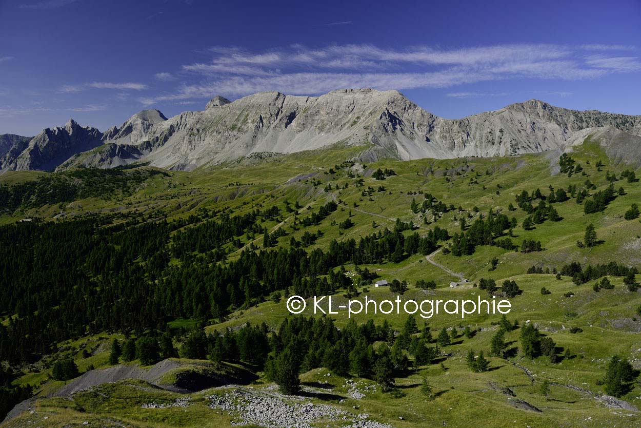 am col des champs
