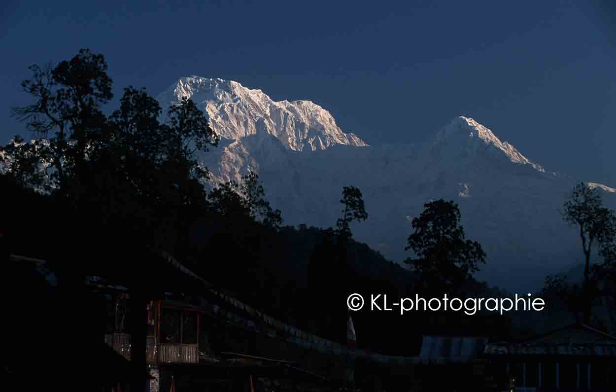annapurna