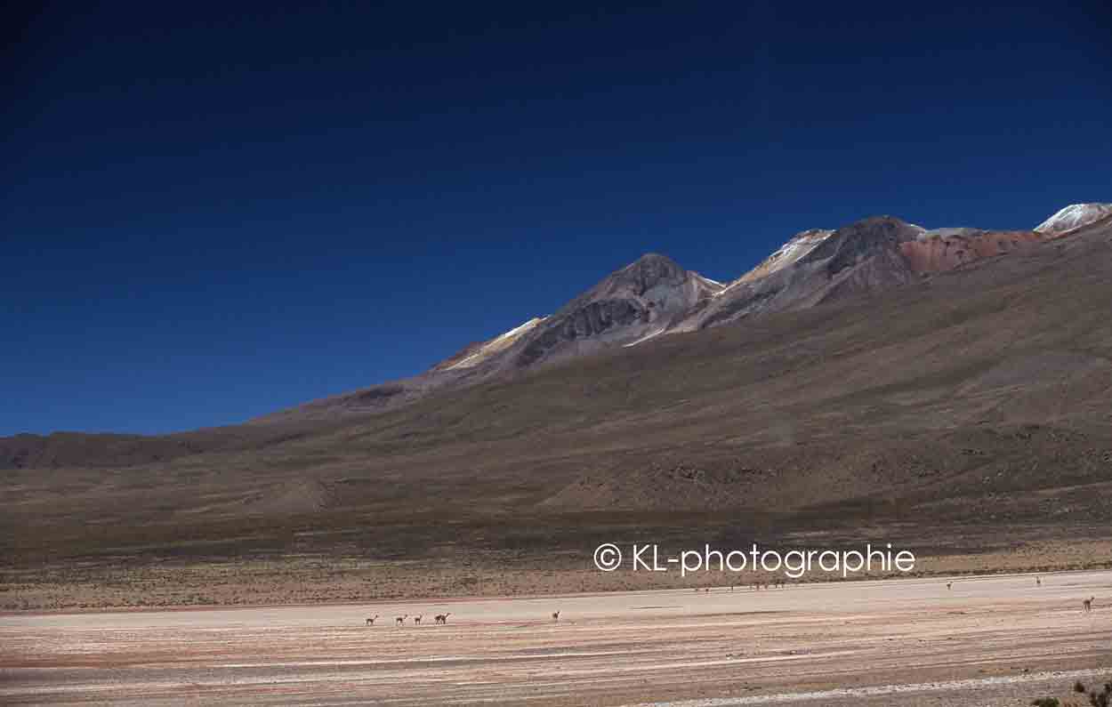 pampa de canahuasi