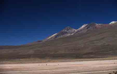 pampa de canahuasi