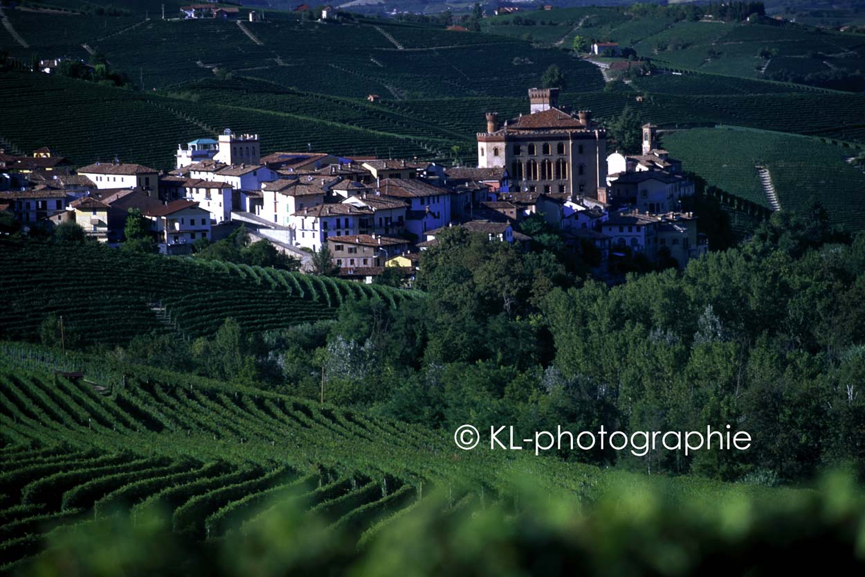 barolo