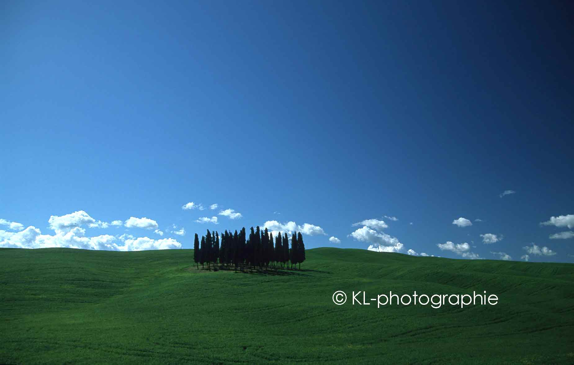 bei san quirico d'orcia
