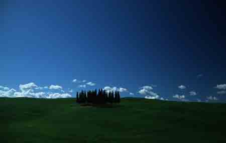 bei san quirico d'orcia